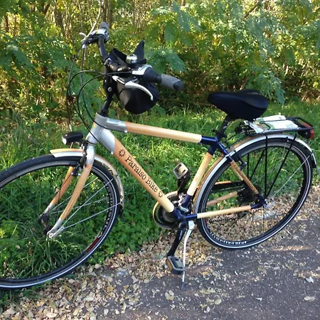 Paraiso Madera فندق مبيت وإفطار Castagnaro