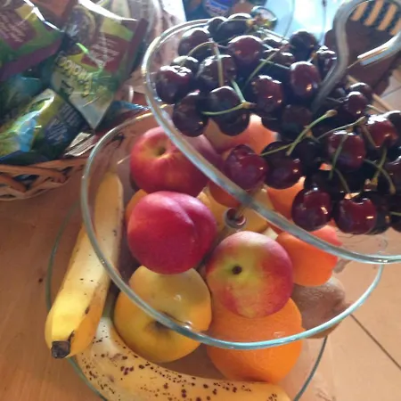 Paraiso Madera